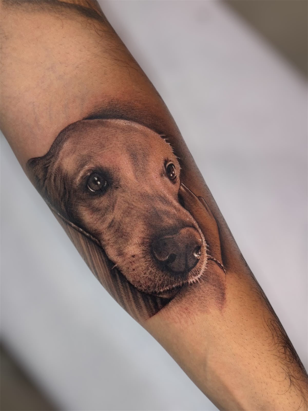 Tattoo realista de cachorro